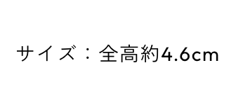 サイズ表