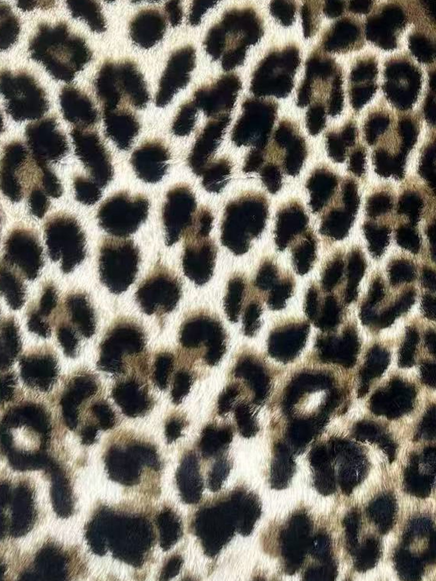 BV がま口 fur leopard