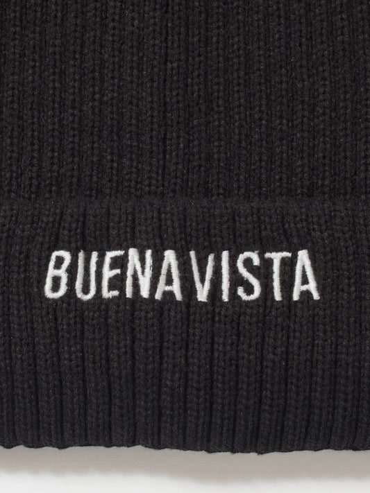 BV knit cap