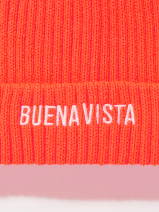 BV knit cap