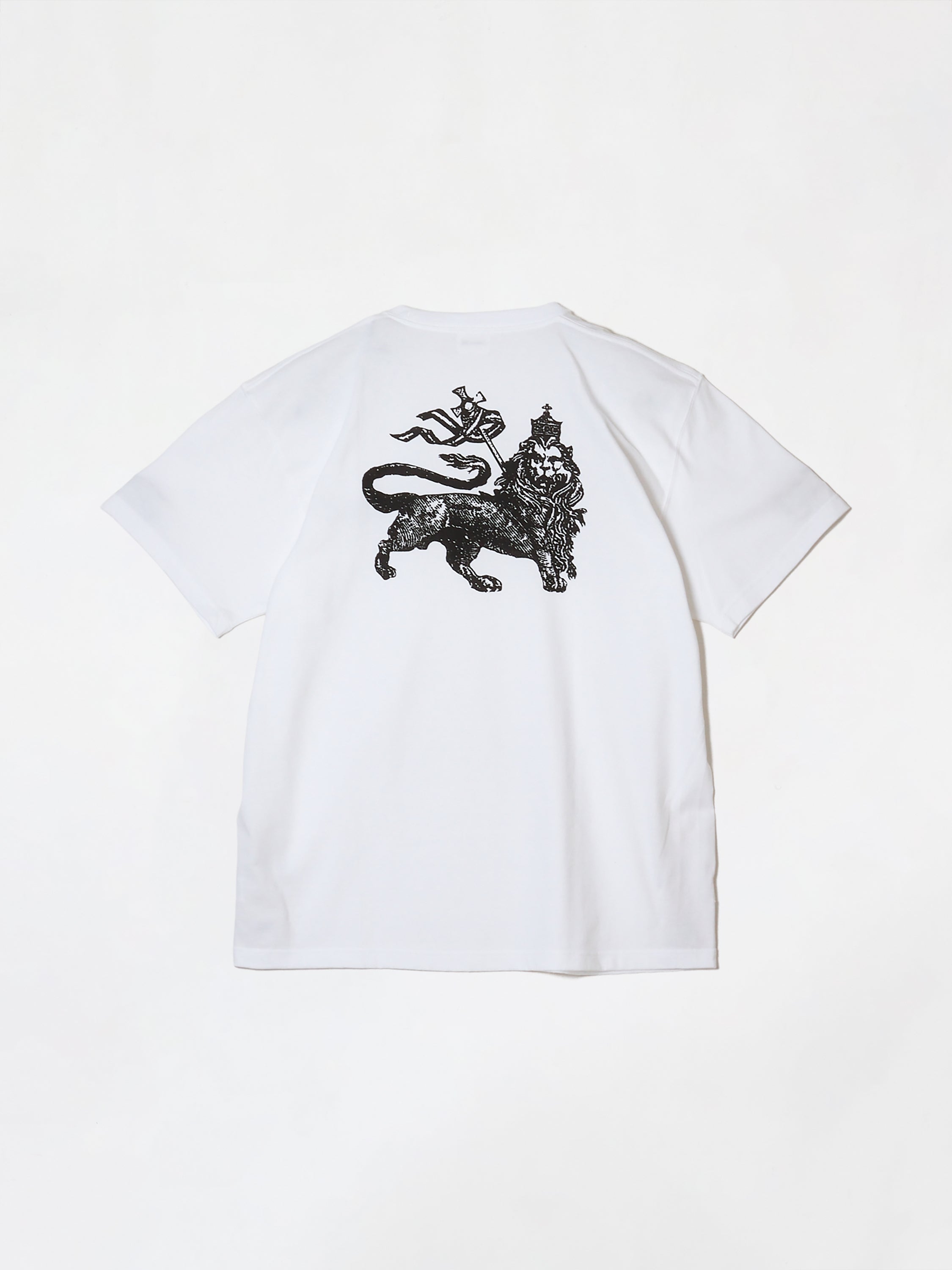 Raster tee uno – BUENA VISTA｜ブエナビスタ 公式サイト