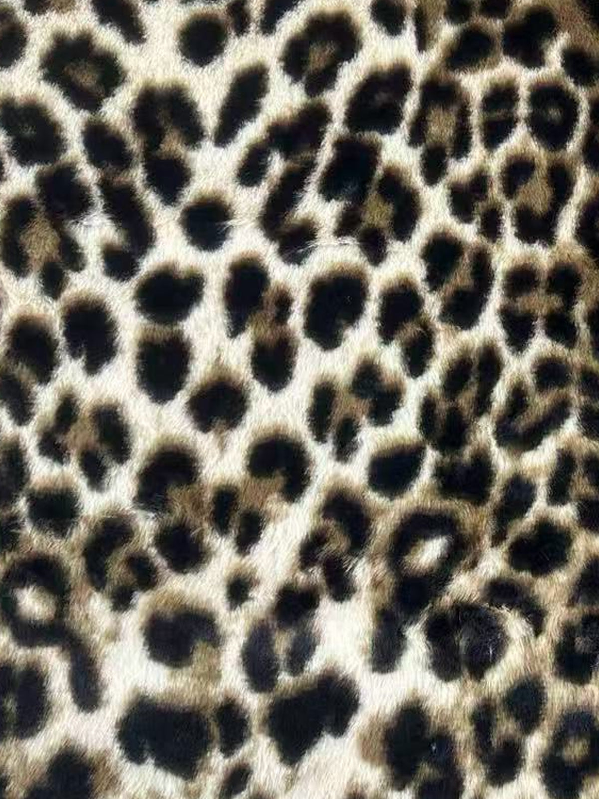 BV がま口 fur leopard